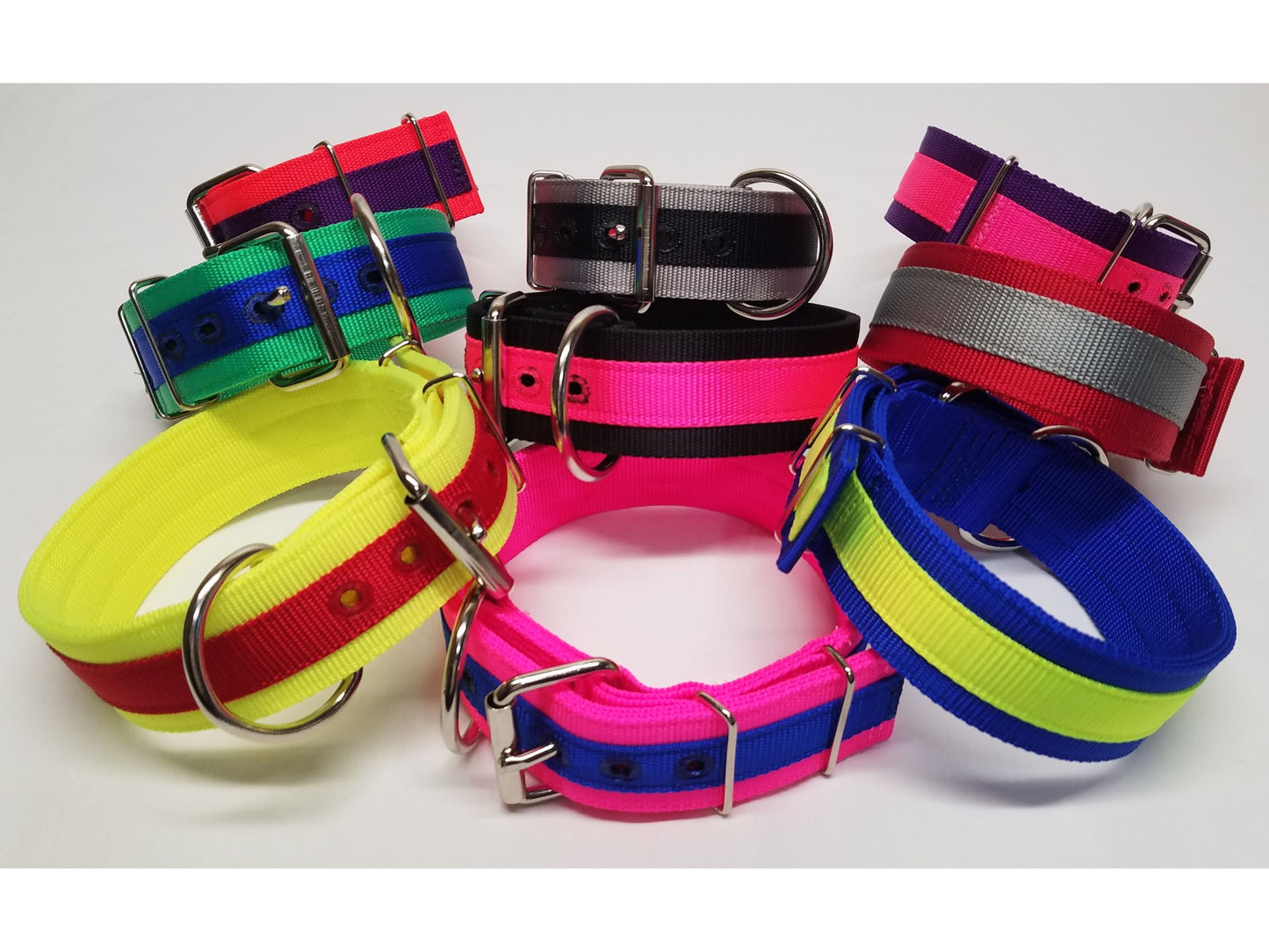 2" 3-Ply Nylon Heavy Duty Dog Collar with a 1" color strip for Pit Bulls & Large Breeds